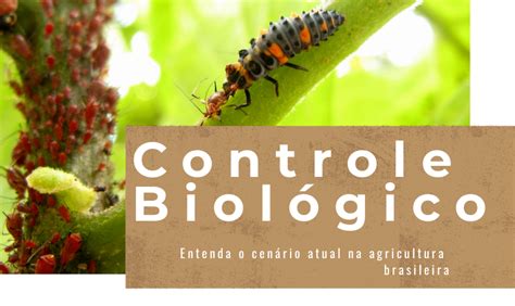 controle biologico-1
